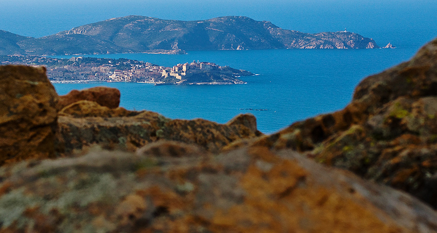 via calvi